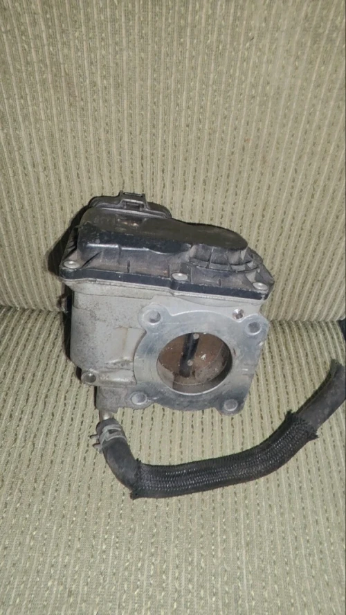 Papillon Toyota Yaris