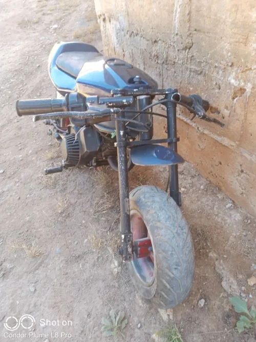 Mini moto Sport 2014