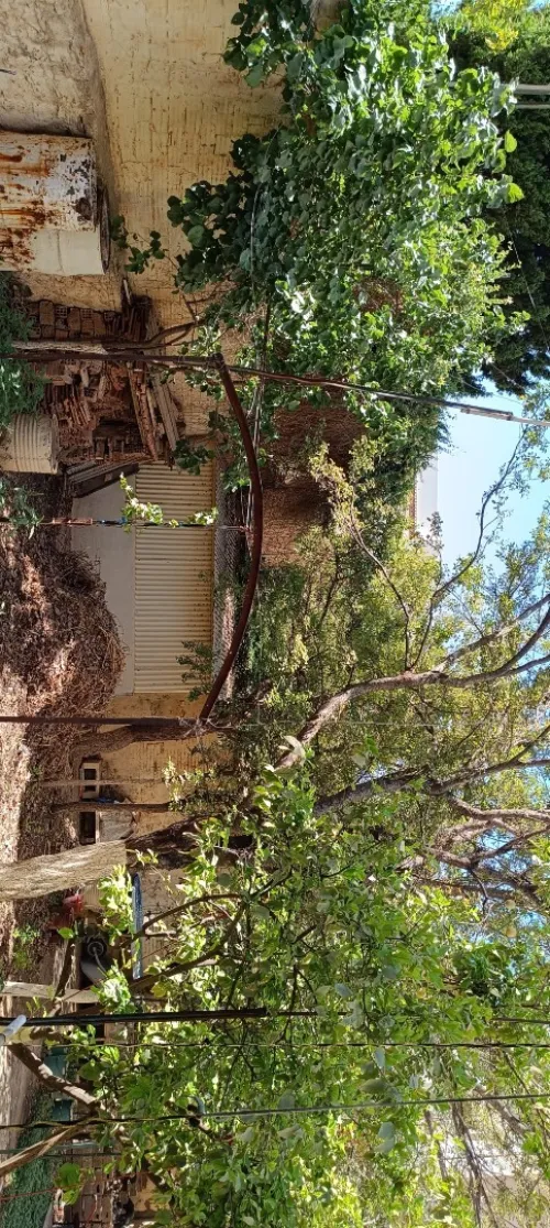 Vente Villa Tlemcen Tlemcen
