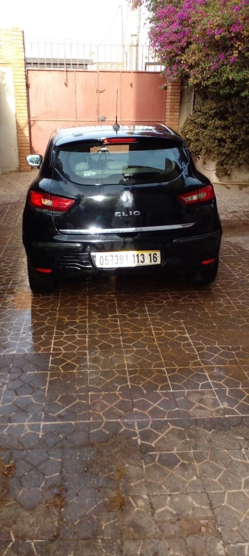 Renault Clio 4 2013 Exception