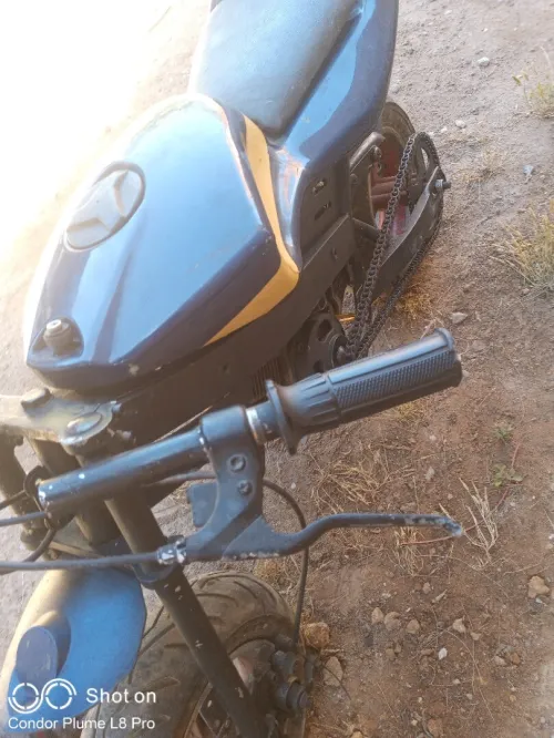 Mini moto Sport 2014