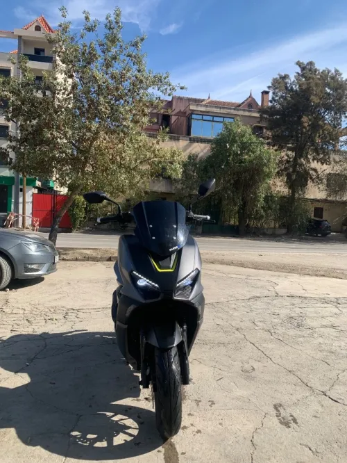 Vms Vmax 2022