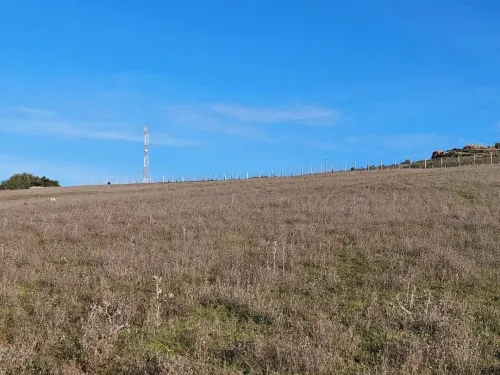 Vente Terrain Skikda Bouchtata