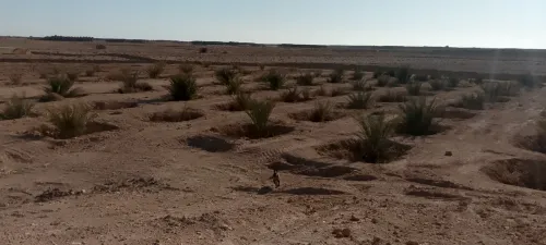Vente Terrain Biskra Lioua