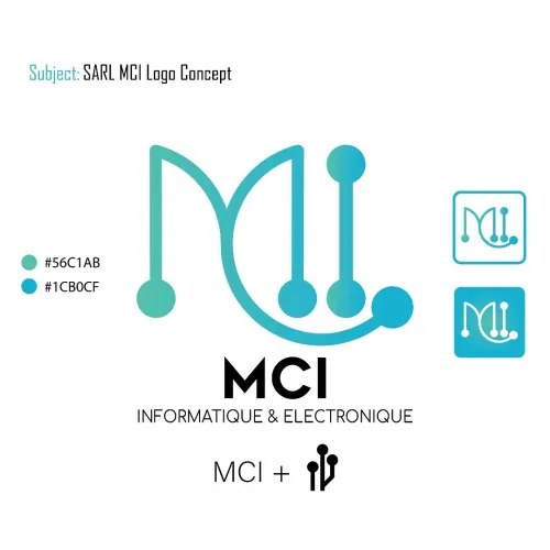Infographe/ graphic designer