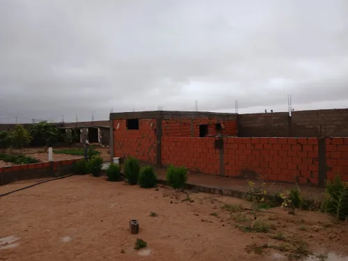 Vente Terrain Laghouat El assafia