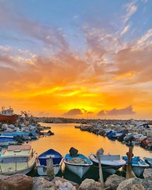 Location Appartement Mostaganem Sidi lakhdaara