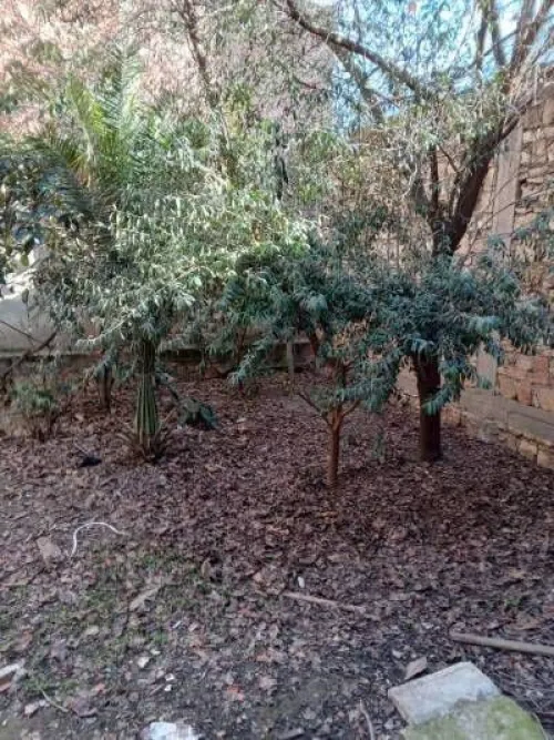 Vente Villa Tiaret Tiaret