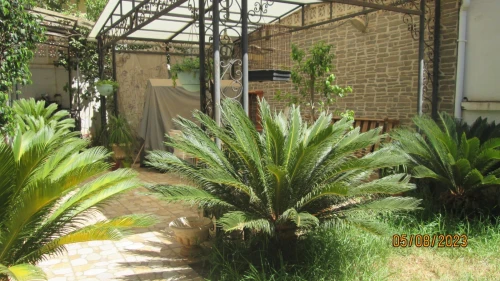 Location Niveau De Villa F2 Alger Bir mourad rais