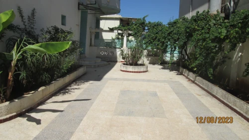 Location Appartement F4 Alger Kouba