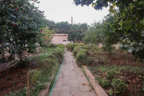 Vente Villa Alger Rais hamidou