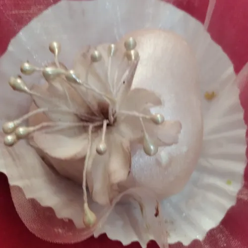 Gâteaux Algérois pour fêtes et mariages 