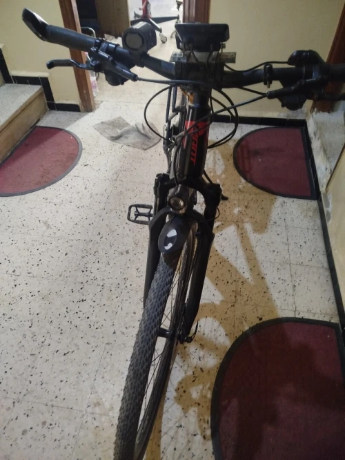 Velo electric Giant