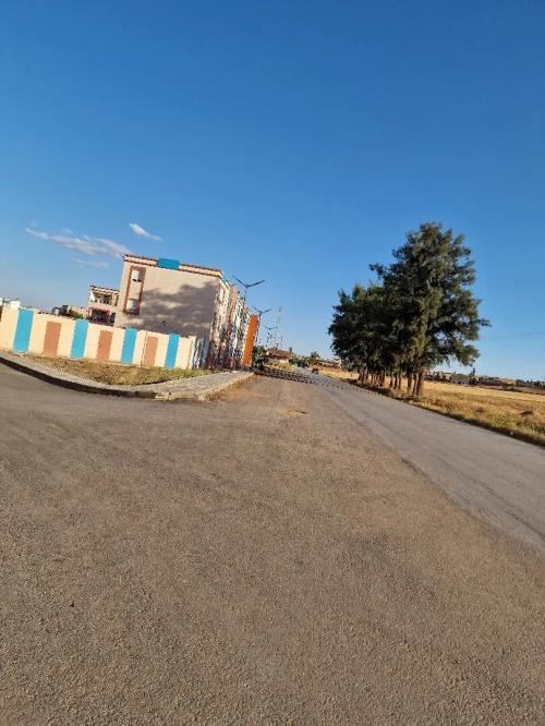 Vente Terrain Aïn Defla Ain defla 9