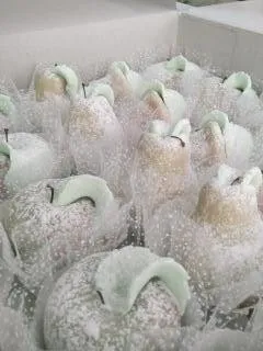 Gâteaux Algérois pour fêtes et mariages 