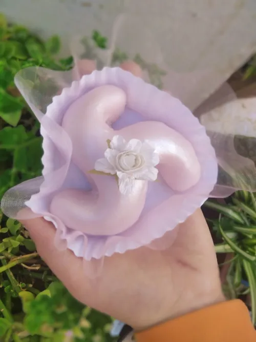Gâteaux Algérois pour fêtes et mariages 