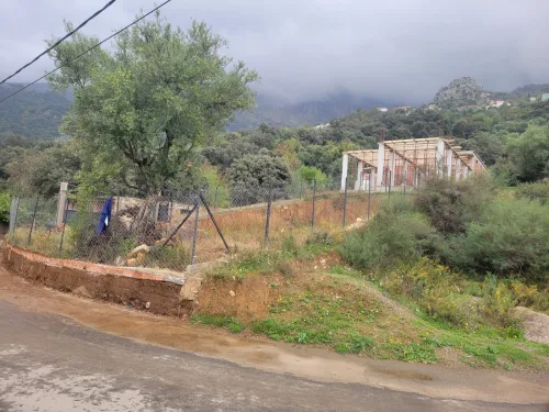 Vente Terrain Tizi Ouzou Ait boumehdi