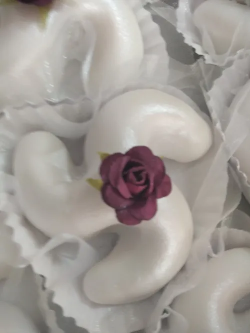Gâteaux Algérois pour fêtes et mariages 