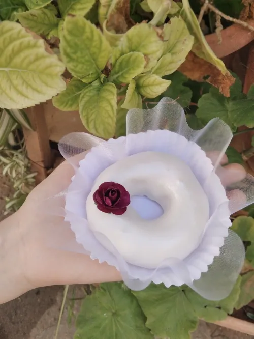 Gâteaux Algérois pour fêtes et mariages 