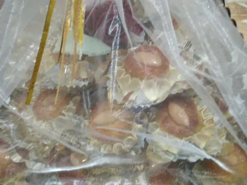 Gâteaux Algérois pour fêtes et mariages 