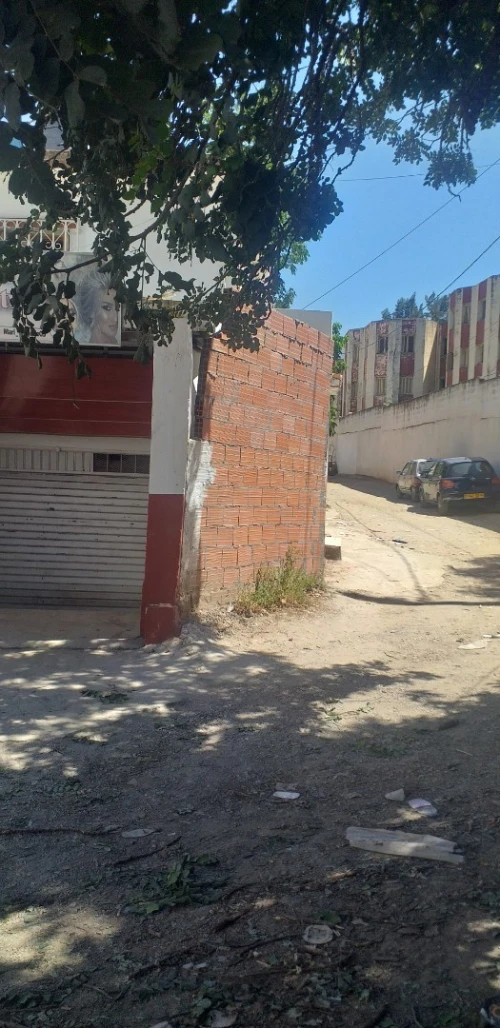 Vente Villa Blida Blida