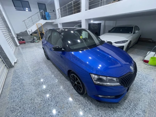 Skoda Fabia 2021 Monte Carlo