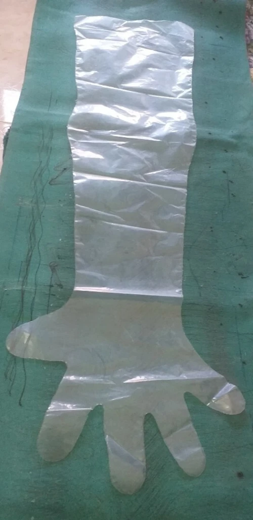 Gants PE . 90 Cm. Pour vétérinaires et labos pharmaceutiques 