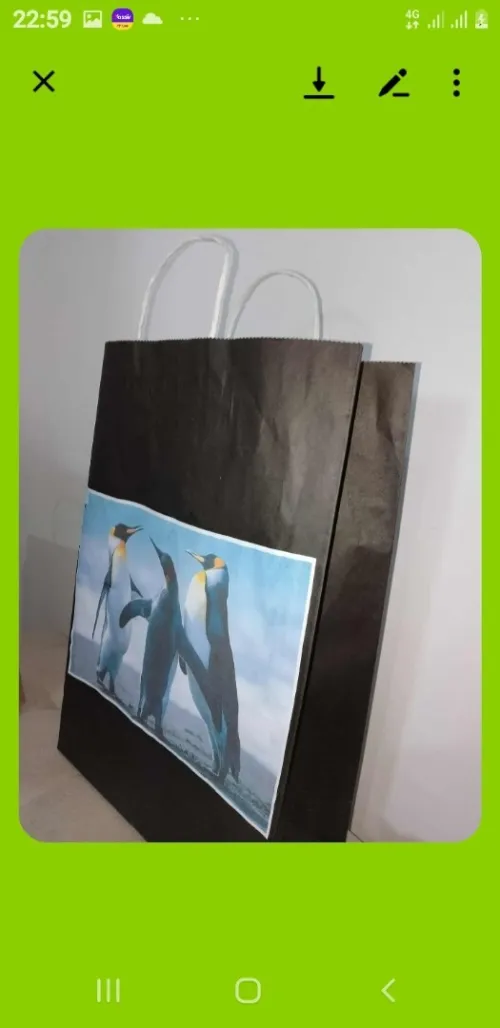 Sacs papier kraft 
