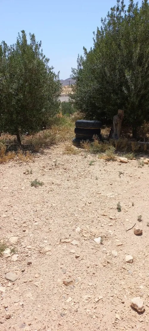 Vente Terrain Msila Bou saada