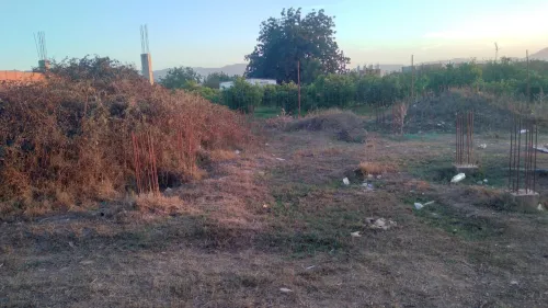 Vente Terrain Alger Sidi moussa