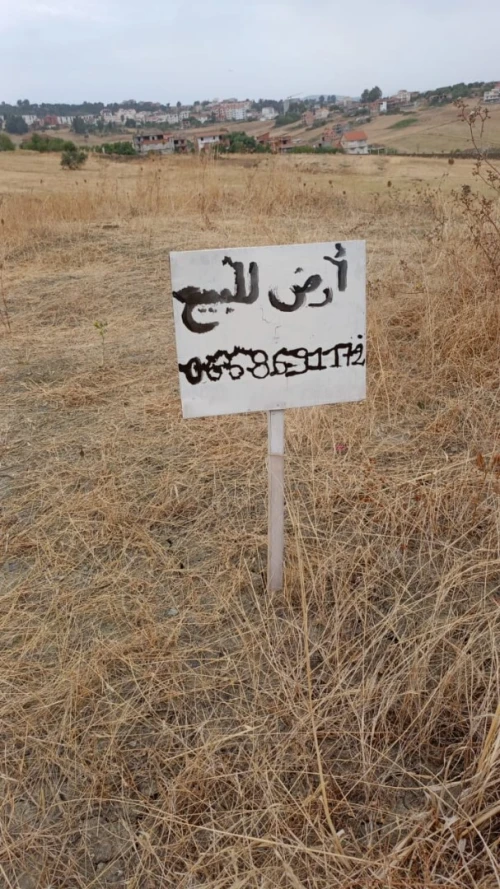 Vente Terrain Tizi Ouzou Azazga