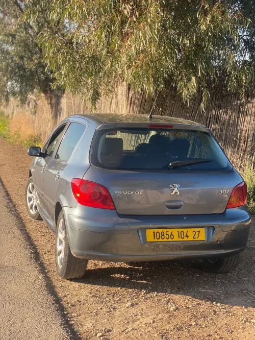 Peugeot 307 2004 307