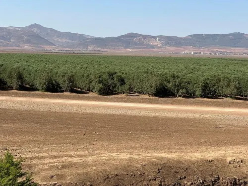 Vente Terrain Oran Oued tlelat