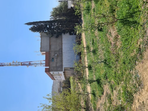 Vente Terrain Agricole Batna Oued chaaba