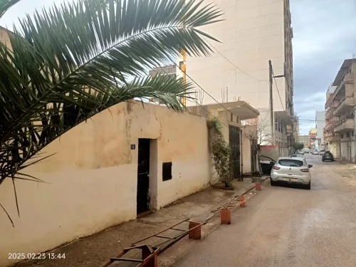 Vente Terrain Oran Bir el djir