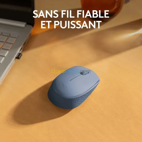 LOGITECH M171 WIRELESS MOUSE - SOURIS SANS FIL - AMBIDEXTRE - USB 2.4 GHZ - CAPTEUR OPTIQUE - 3 BOUTONS - BLEU & GRIS