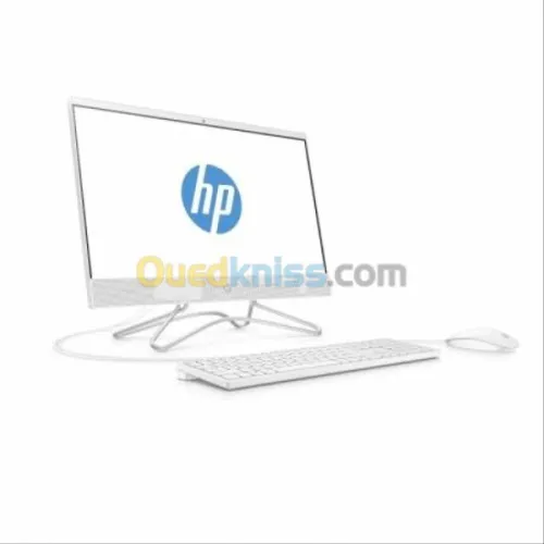HP 200 G4 All In One Intel Pentium J5040 - 1T HDD- 4Go - 21,5 Full HD Gris - Blanc