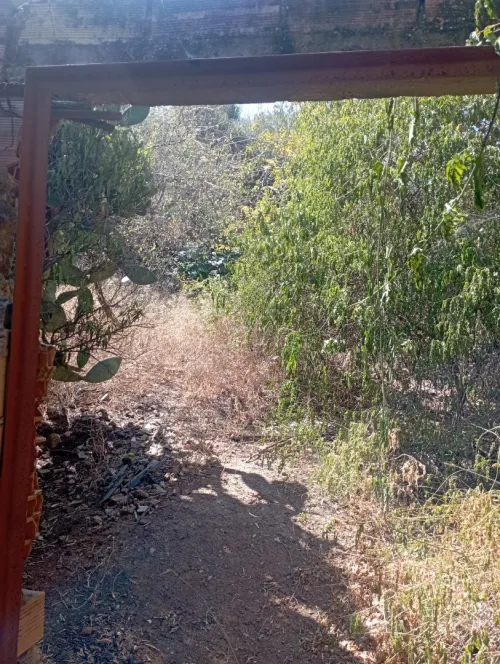 Vente Villa Blida El affroun