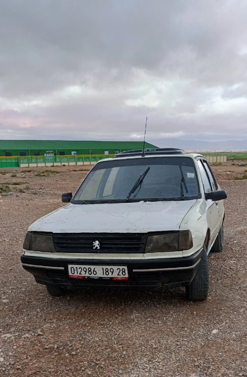 Peugeot 309 1989 309