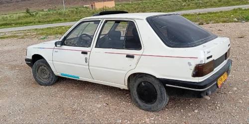 Peugeot 309 1989 309