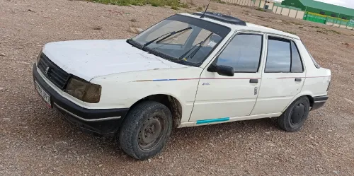 Peugeot 309 1989 309