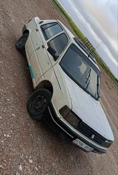 Peugeot 309 1989 309