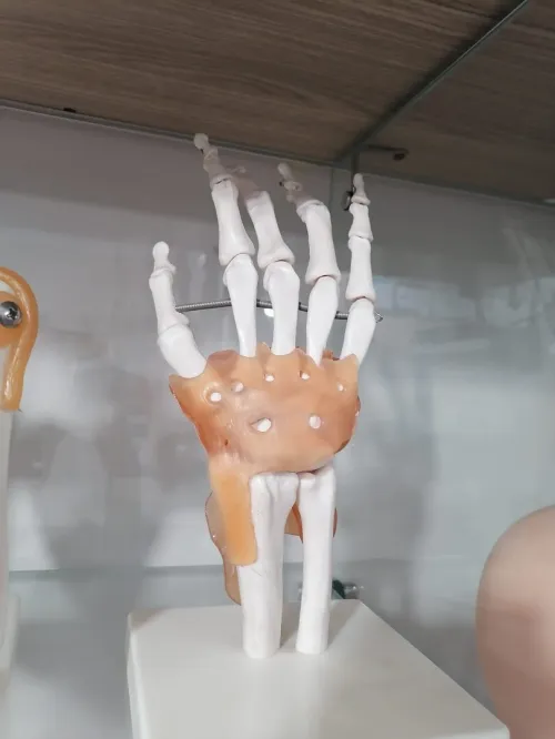Mannequin de secourisme مجسم الإسعافات الأولية