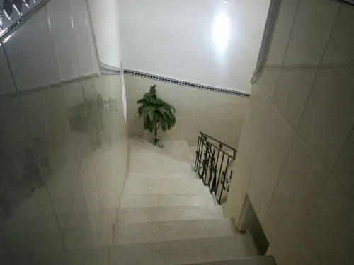 Location Appartement Alger Cheraga