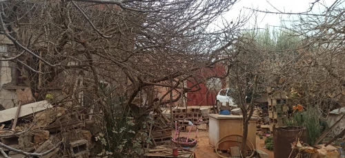 Vente Terrain Mostaganem Mezghrane