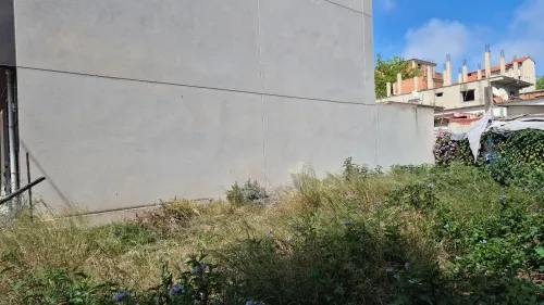 Vente Terrain Alger Hraoua