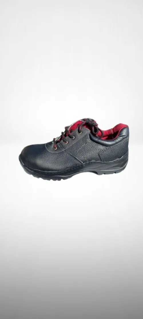 Chausseurs de Sécurité 