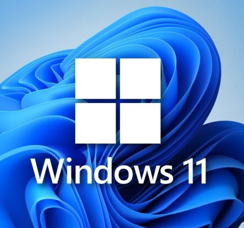 Licences Microsoft windows pro 8.1/10/11