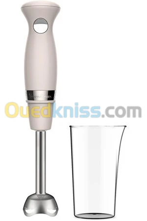 Bras mixeur MOULINEX SOLEIL 450 W DD471A10