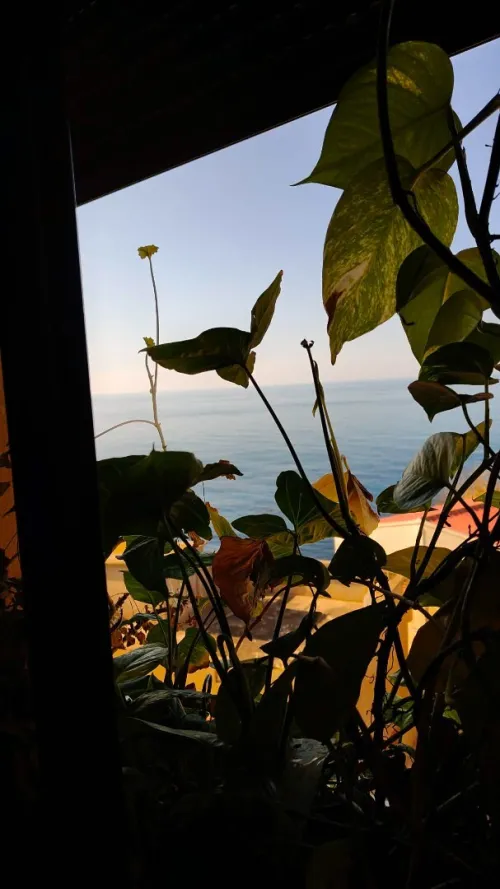 Vente Appartement F2 Tipaza Cherchell